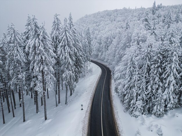 산속 숲의 겨울 도로
