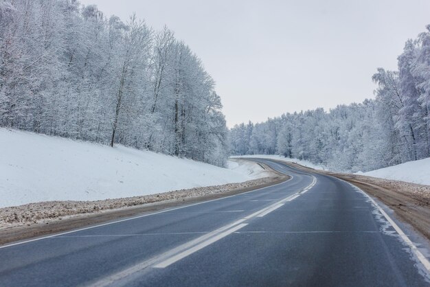 차가 없는 대낮에 서리로 덥은 숲 사이의 겨울 도로