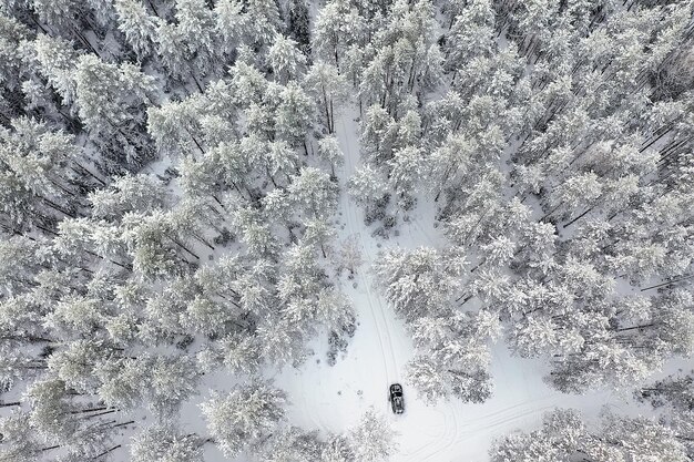 冬の道路風景、雪道の美しい景色