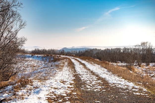 Фото Зимняя дорога, ведущая в сказочный зимний лес