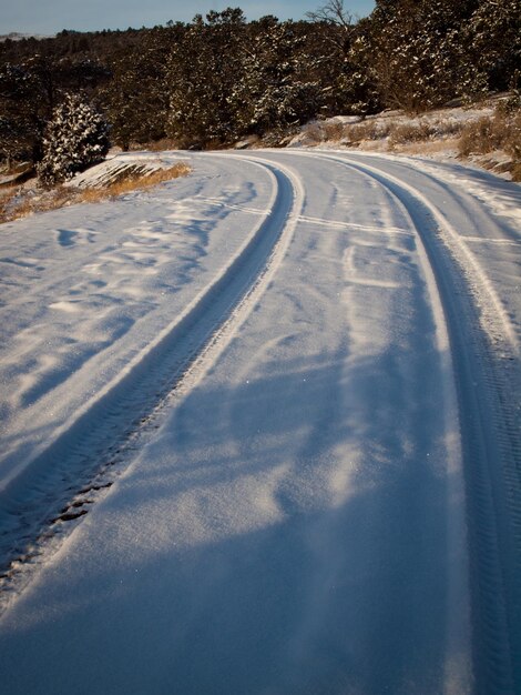 Winter road on the ranch near Dallas Divide.