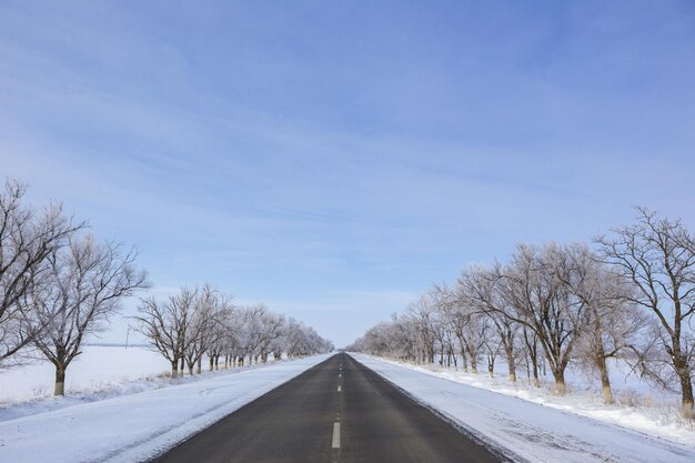 冬道。雪の中の道。冬の風景。