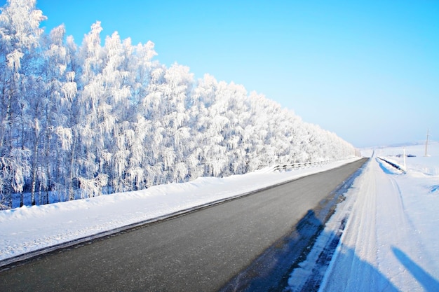 Winter road and snow-covered forest and trees in hoarfrost along roadsides blue sky frosty season