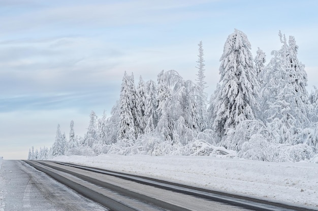 霜に覆われた木々のある白い雪に覆われた森の冬の道、冬の風景