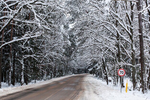 Winter road with snow through the forest . Cold landscape