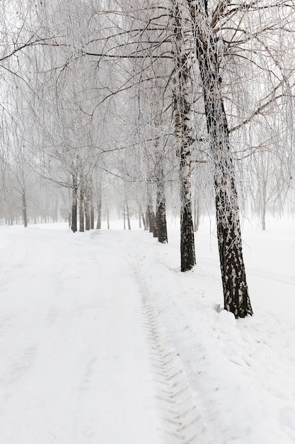 Winter road with snow