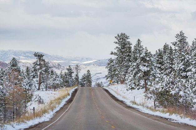 Winter road