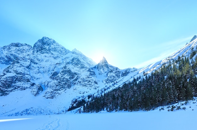 Winter rocky mountain view with sunlight from behind the rocks and fir forest on slope.