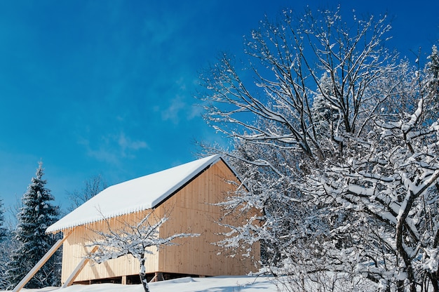 Winter rural landscape blue sky