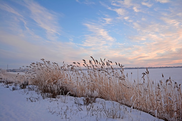 Winter rural landscape. Lake in winter.