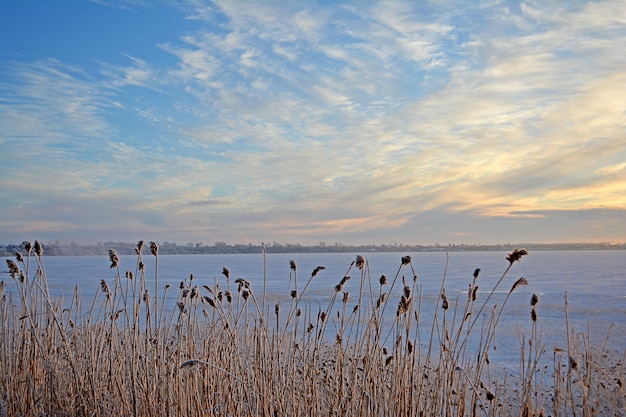 Paesaggio rurale invernale lago in inverno.
