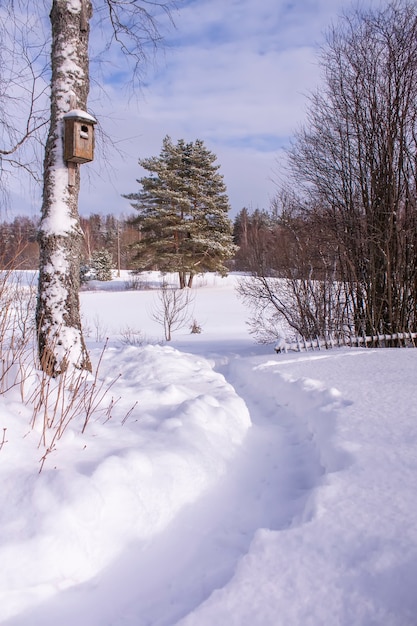 Winter rural landscape with old wooden bird house on a tree