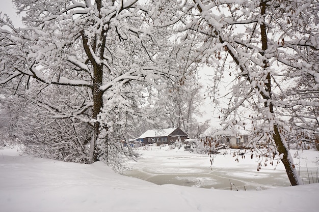Scena rurale invernale. casa vicino al lago ghiacciato. rifugio in riva al lago di gennaio. alberi sulla riva del fiume coperti di neve. paese delle meraviglie del villaggio dopo la bufera di neve in bielorussia
