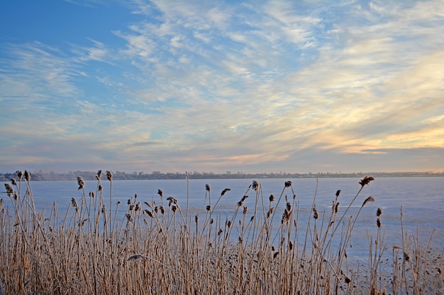 Winter rurale landschap. Meer in de winter.