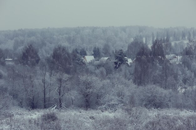 Winter in the Russian village / winter landscape, forest in Russia, snow-covered trees in the province