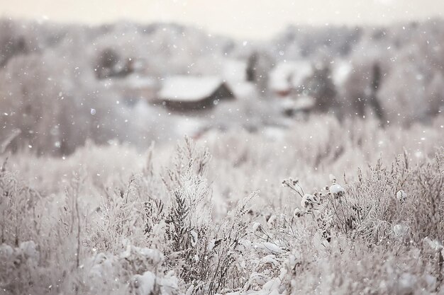 Winter in the Russian village / winter landscape, forest in Russia, snow-covered trees in the province