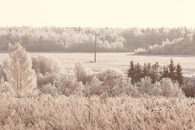 Winter in the Russian village / winter landscape, forest in Russia, snow-covered trees in the province