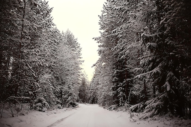 러시아 마을의 겨울 / 겨울 풍경, 러시아의 숲, 지방의 눈 덮인 나무