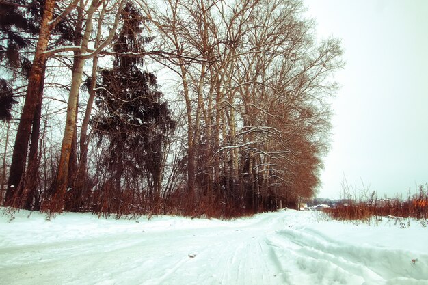 Winter rustieke weg zonlicht