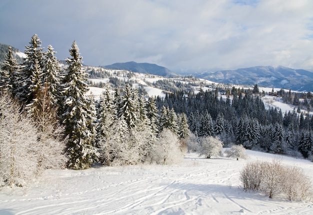 Winter rustig berglandschap met rijp en besneeuwde sparrenbomen en skipiste