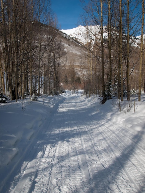 Winter in San Juan Mointains, Colorado.