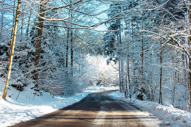 Foto winter scène weg in het bos op een prachtige winterdag besneeuwde kerstbomen onder een blauwe hemel