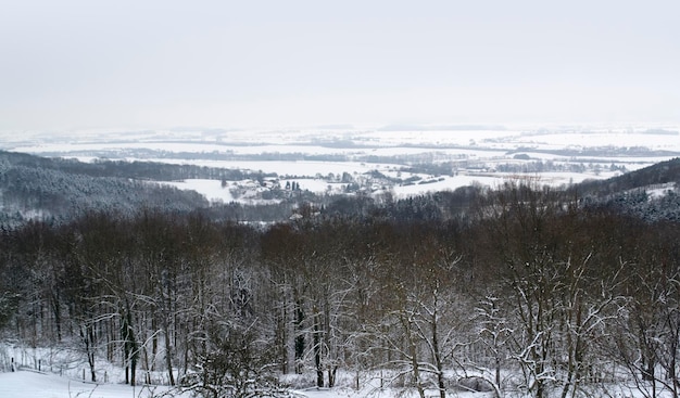 winter scenery in Hohenlohe