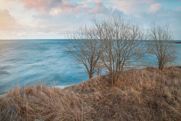 写真 冬の海