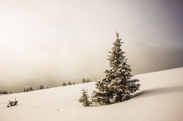 Winter Season Winter landscape Winter