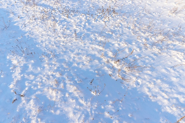 降雪後の雪の吹きだまりのある冬の季節冬の自然の中で新鮮できれいな雪