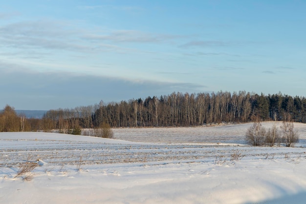 Winter season with snowdrifts after snowfall