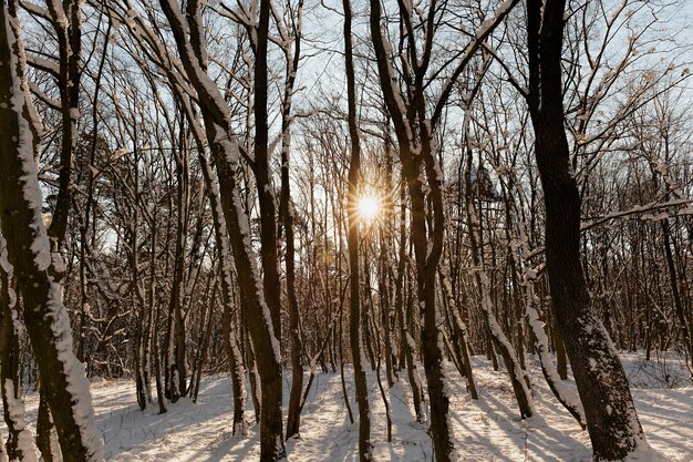 winter seizoen