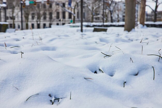 Winter sereniteit in het stadspark Sneeuwgrond en kale bomen