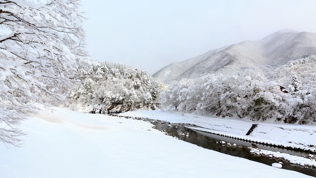 Winter Shirakawa gaan