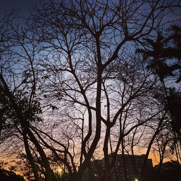 Photo winter sky - rio de janeiro - brazil