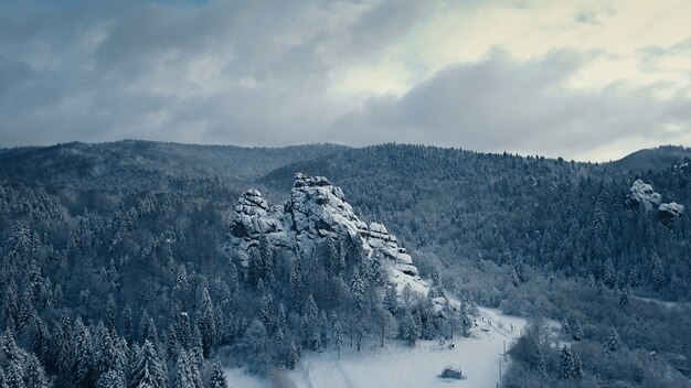 Winter sneeuw bomen. luchtfoto overvliegen. tustan