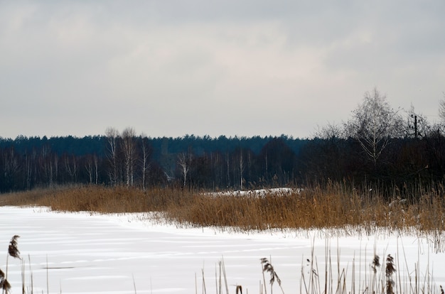 Foto winter sneeuw bos rivierlandschap.