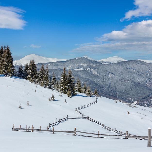Foto winter sneeuwrijke karpaten oekraïne