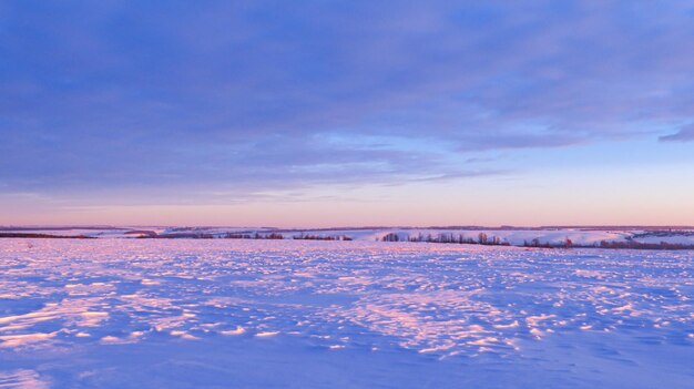 夕暮れの畑の冬の雪の丘