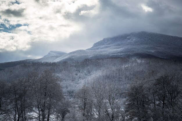 Winter snow landscapes, mountains and forest