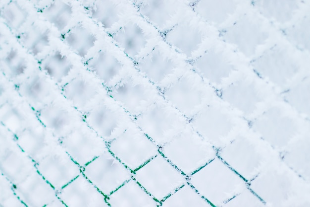 Foto fondo di struttura della neve di inverno fatto della maglia metallica coperta di brina della neve. recinzione congelata