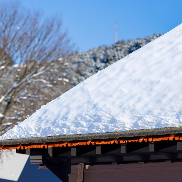 写真 冬 の 雪