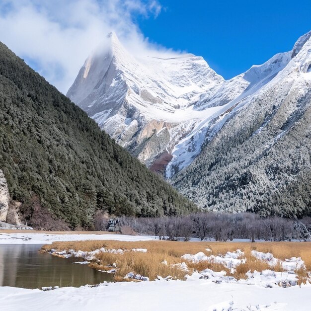 Photo winter snow