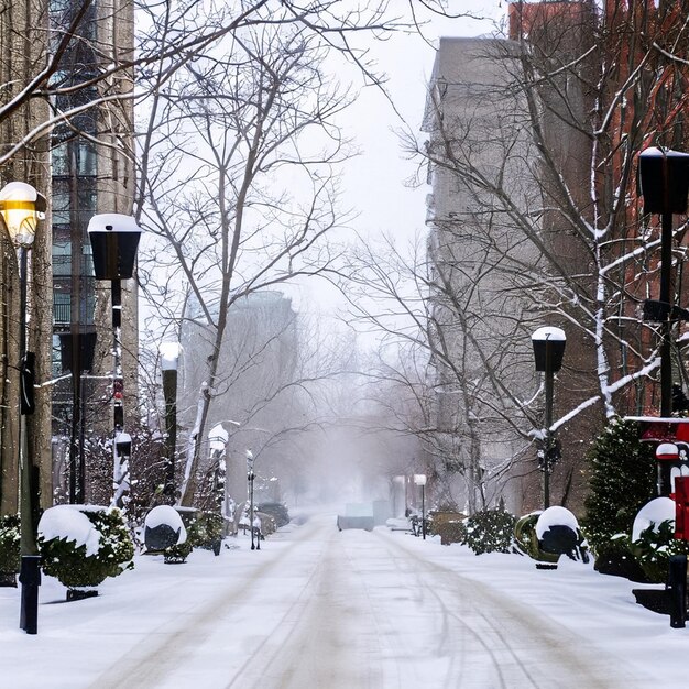 Photo winter snow