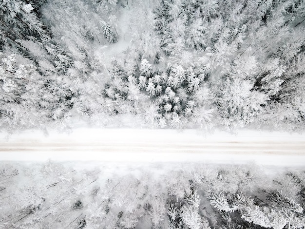 Winter snowcovered road top view Winter landscape Winter background Snowcovered Christmas trees