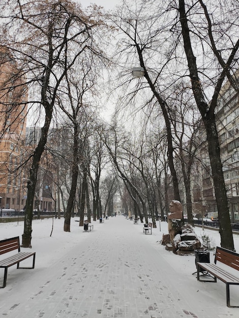 Зимний снежный бульвар в центре города европы