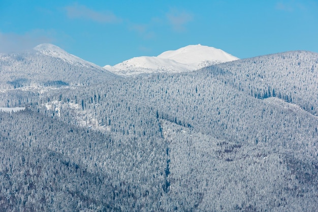 冬の雪に覆われたカルパティア山脈ウクライナ