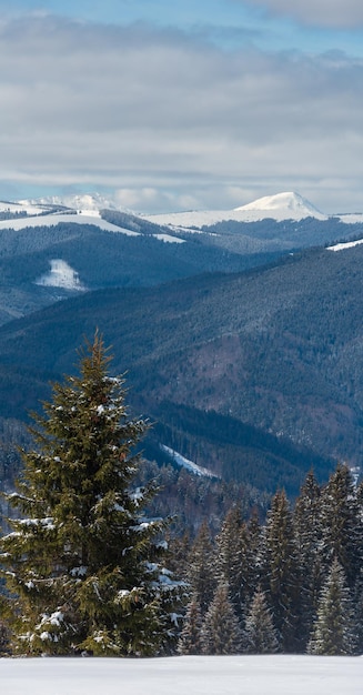 Winter snowy Carpathian mountains Ukraine