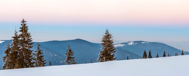 Winter snowy landscape in mountains with pine trees and white hills