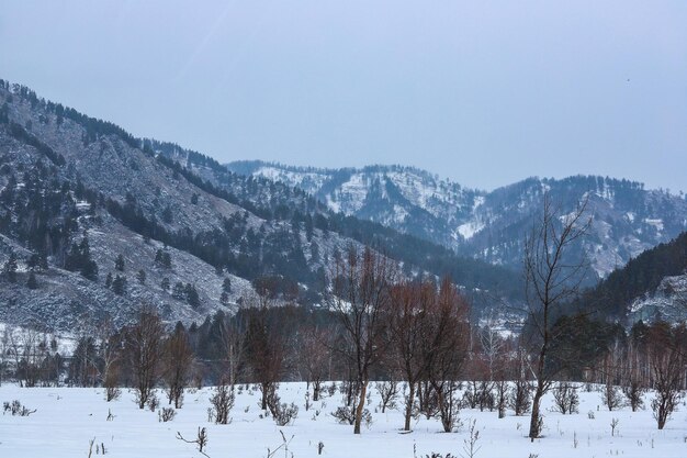 Winter snowy mountain landscape Altai